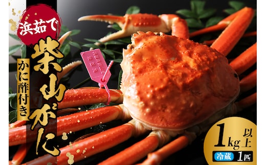 【柴山がに タグ付き カネニの浜茹で 冷蔵】兵庫県 香美町 香住 カネニ 06-02