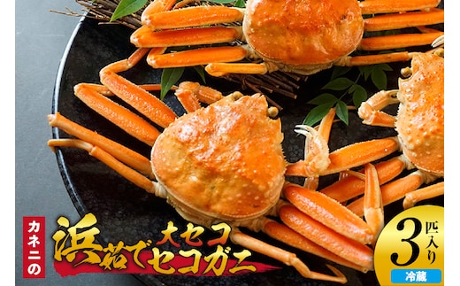 【カネニの浜茹でセコガニ 大セコ 3匹入】香美町 香住 柴山 カネニ 06-19
