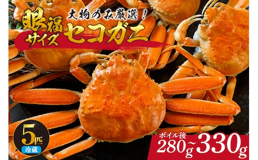 【先行予約】1匹280g～330gの大物のみ厳選！ 眼福サイズ セコガニ5匹セット 冷蔵 【令和8年11月中旬以降発送】カニ 香美町 06-25