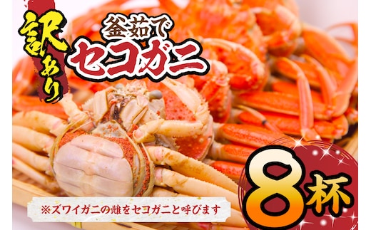 【セコガニ 訳あり（欠足 キズ 汚れなど）約120g×8匹 冷凍】 日本海フーズ 07-09