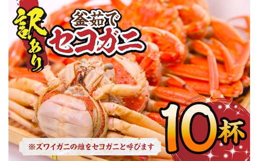 セコガニ 訳あり（欠足 キズ 汚れなど）約120g×10匹 冷凍 日本海フーズ 07-117