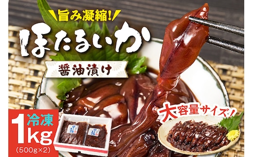 ほたるいか 醤油漬け 1kg（500g×2） いか イカ 香美町 07-28