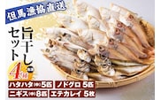 旨干しセット 4種 冷凍 干物 セット 香美町 03-19