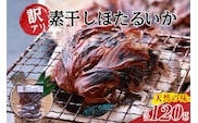 兵庫県香住産 訳あり ほたるいか ホタルイカ 素干し 120g（60g×2袋） 日本海フーズ 07-112