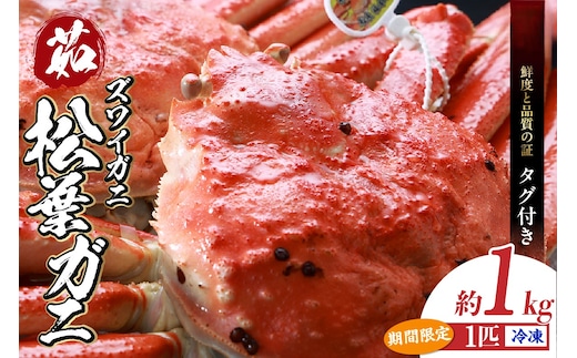 【松葉がに 最高グレード 香住産 タグ付き 釜茹で 松葉がに 約1.0kg 数量限定 冷凍】日本海フーズ(にしとも かに市場) 07-07