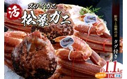 【松葉がに 最高グレード 香住産 タグ付き 活 生 松葉がに 約1.1kg 数量限定】冷蔵 兵庫県 香美町 香住 柴山 柴山港 ズワイガニ 日本海フーズ 07-06
