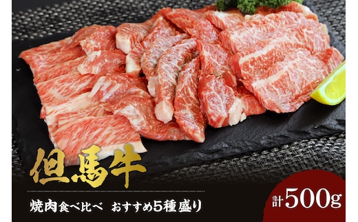 【但馬牛 焼肉食べ比べ おすすめ5種盛り 500g】 冷凍 村岡ファームガーデン 02-18