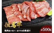但馬牛 焼肉食べ比べ おすすめ5種盛り 500g 冷凍 村岡ファームガーデン 02-18