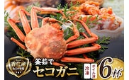 セコガニ 約120g×6匹 釜茹で 冷凍 かに カニ 香美町 07-08