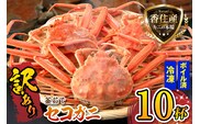 セコガニ 訳あり 約120g×10匹 冷凍 かに カニ 香美町 07-117