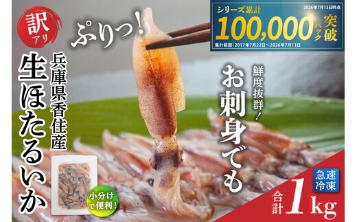 《先行予約》訳あり ほたるいか 小分け 1kg（250g×4パック）冷凍 【令和9年3月以降お届け予定】香美町 07-95