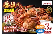 【訳あり 香住ガニ 釜茹で ボイル 大きめ 約600g×3匹（約1.8kg以上）冷蔵】 日本海フーズ 07-14