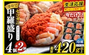 〈DayDay./キメツケで紹介！〉【セコガニ 釜茹で 甲羅盛り 約70～80g（甲羅含む）×6個 総量420g以上 冷凍】【令和8年3月上旬以降発送予定】日本海フーズ 07-17