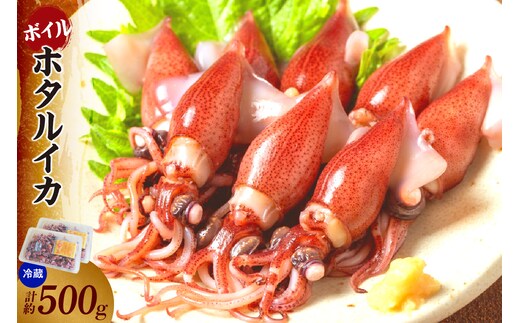 ほたるいか ボイル 小分け 250g×2パック 500g 酢味噌付 【令和8年3月以降発送予定】冷蔵 モリタ食品 10-13
