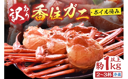 〈カンテレ「やすとも・友近のキメツケ！」で紹介！〉訳あり 香住ガニ 浜茹で 2～3杯 約1kg以上 1～2本指落ち 冷蔵 【令和8年2月以降発送予定】 丸近 19-09