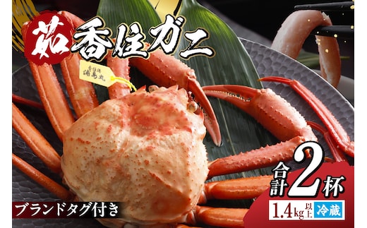 香住ガニ タグ付き 浜茹で 700g以上×2杯 合計1.4kg以上 冷蔵【令和8年3月以降発送予定】丸近 19-13