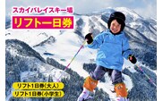 【スカイバレイ スキー場 リフト 1日券（大人1枚＋小学生1枚）】ユースランド 18-03