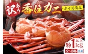 〈TVで紹介！〉訳あり 香住ガニ 浜茹で 2～3杯 約1kg以上 1～2本指落ち 冷蔵  【令和8年3月以降発送予定】 丸近 19-09