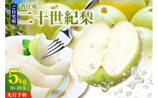 《2027年産 先行予約》二十世紀梨 ご自宅用 優品（Bランク）約5kg（L～5Lサイズ混合 10～18玉）【令和9年8月下旬以降発送予定】 JAたじま 12-20