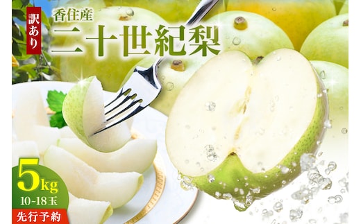 《2027年産 先行予約》 二十世紀梨 訳あり 約5kg（L～5Lサイズ混合 10～18玉） 生産者応援商品 【令和9年8月下旬以降発送予定】 JAたじま 12-23