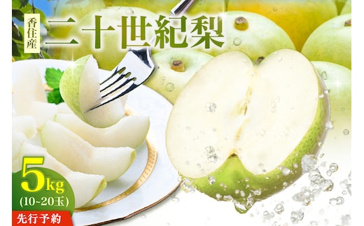《2027年産 先行予約》二十世紀梨 約5kg（1玉250～500g/10～20玉） 【令和9年8月下旬以降発送予定】 梨 なし ナシ 香美町 12-25
