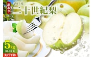《2027年産 先行予約》 二十世紀梨 訳あり 約5kg（L～5Lサイズ混合 10～18玉） 生産者応援商品 【令和9年8月下旬以降発送予定】 JAたじま 12-23