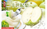 2026年産 先行予約【梨 訳あり 20世紀梨 5kg（10～18玉）サイズバラつき有り（L～5L）生産者応援商品】9月上旬以降配送予定 JAたじま 12-23