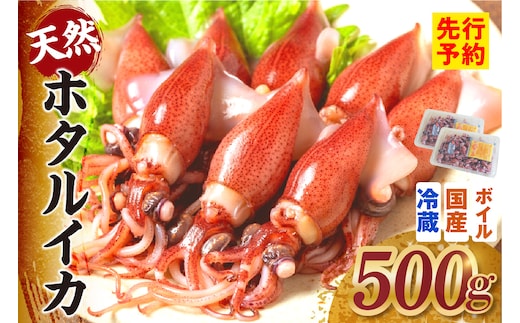 《先行予約》 ボイル ホタルイカ 小分け 250g×2パック 500g 酢味噌付 【令和9年3月以降発送予定】 冷蔵 香美町 10-13