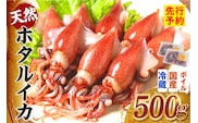 《先行予約》 ボイル ホタルイカ 小分け 250g×2パック 500g 酢味噌付 【令和9年3月以降発送予定】 冷蔵 香美町 10-13