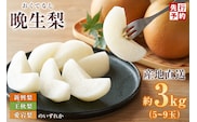 2026年産 先行予約 晩生梨 品種（新興梨 王秋梨 愛宕梨のいずれか）3kg（5～9玉）【令和8年10月中旬以降発送予定】 JAたじま 12-06
