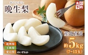 2026年産 先行予約 晩生梨 品種（新興梨 王秋梨 愛宕梨のいずれか）5kg（7～13玉）【令和8年10月中旬以降発送予定】 JAたじま 12-24