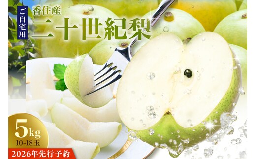 2026年産 先行予約【20世紀梨 ご自宅用 5kg サイズ L～5L混合（10～18玉）ご自宅用】8月下旬～9月中旬までにお届け JAたじま 12-20