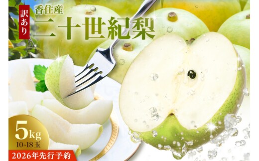 2026年産 先行予約【梨 訳あり 20世紀梨 5kg（10～18玉）サイズバラつき有り（L～5L）生産者応援商品】9月上旬以降配送予定 JAたじま 12-23