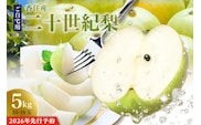 2026年産 先行予約【20世紀梨 ご自宅用 5kg サイズ L～5L混合（10～18玉）ご自宅用】8月下旬～9月中旬までにお届け JAたじま 12-20