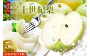 2026年産 先行予約【梨 訳あり 20世紀梨 5kg（10～18玉）サイズバラつき有り（L～5L）生産者応援商品】9月上旬以降配送予定 JAたじま 12-23
