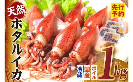 《先行予約》 ボイル ホタルイカ 小分け 250g×4パック 1kg 酢味噌付 【令和9年3月以降発送予定】 冷蔵 香美町 10-14