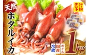 《先行予約》 ボイル ホタルイカ 小分け 250g×4パック 1kg 酢味噌付 【令和9年3月以降発送予定】 冷蔵 香美町 10-14