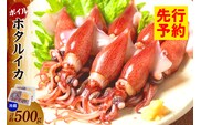 ほたるいか ボイル 小分け 250g×2パック 500g 酢味噌付 【令和8年3月以降発送予定】冷蔵 10-13