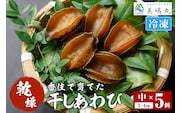 【干しあわび 5個入り 中サイズ 冷凍】発送目安：入金確認後2週間以内  美嶋丸 20-17