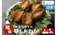 【干しあわび 5個入り 大サイズ 冷凍】発送目安：入金確認後2週間以内  美嶋丸 20-18