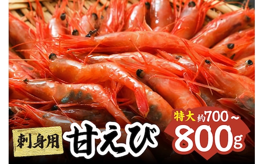 刺身用甘えび 約700～800g 冷凍 えび エビ 香美町 33-04 
