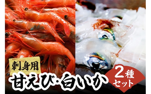 兵庫県香住産 白いか 甘えび お刺身 セット 冷凍【令和8年6月下旬以降発送予定】香美町 33-05