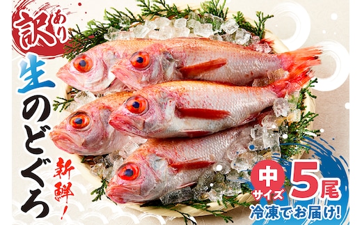 兵庫県香住産 のどぐろ中5匹 1匹約150g前後 計約700～800g 冷凍 令和8年3月下旬以降 宿院商店 33-30