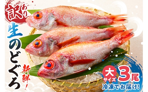 兵庫県香住産 処理済 のどぐろ大3匹 1匹約250g前後 計約700～800g 冷凍 令和8年3月下旬以降 宿院商店 33-31