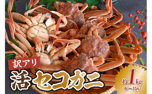 兵庫県香住産 訳あり活セコガニ1kg（冷蔵） 宿院商店 33-41