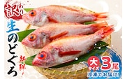 兵庫県香住産 処理済 のどぐろ大3匹 1匹約250g前後 計約700～800g 冷凍 令和8年3月下旬以降 宿院商店 33-31