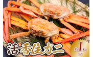活香住ガニ 約1kg×2匹 冷蔵 令和8年2月以降、順次発送予定 宿院商店 33-34