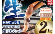 兵庫県香住産 生 ほたるいか 小分け 250g×8パック 2kg 鍋用だし付 冷凍 【令和9年3月中旬以降発送予定】 香美町 33-01