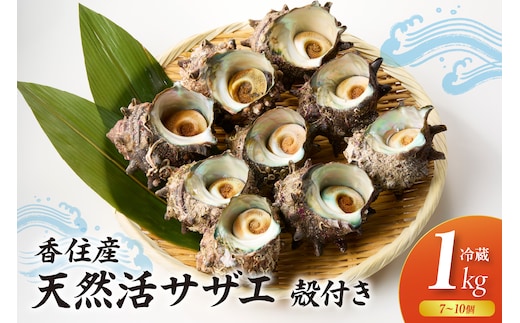 【兵庫県香住産 天然活サザエ 1kg 冷蔵】宿院商店 33-19 