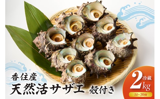 【兵庫県香住産 天然活サザエ 2kg 冷蔵】宿院商店 33-20